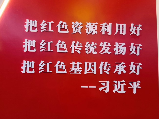 傳承紅色基因  弘揚“渡江第一船”精神——蕪湖新東方醫院外科一支部開(kāi)展黨建活動(圖3)