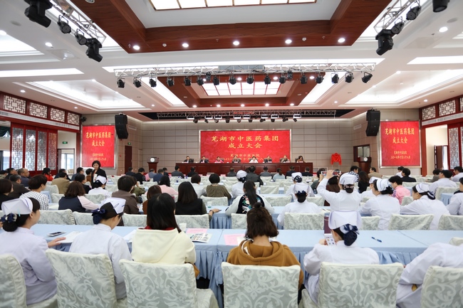 乘十九大春風 譜中醫藥發(fā)展新曲 ——蕪湖市中醫藥集團成(chéng)立大會順利舉行(圖1)