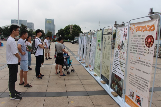 中醫藥法頒布一周年——我市舉行中醫中藥中國(guó)行.蕪湖站大型中醫藥健康文化活動(圖3)