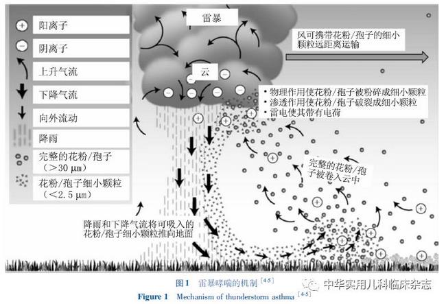 2 (複制).jpg