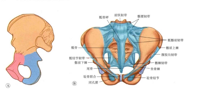 圖片1 (複制).jpg