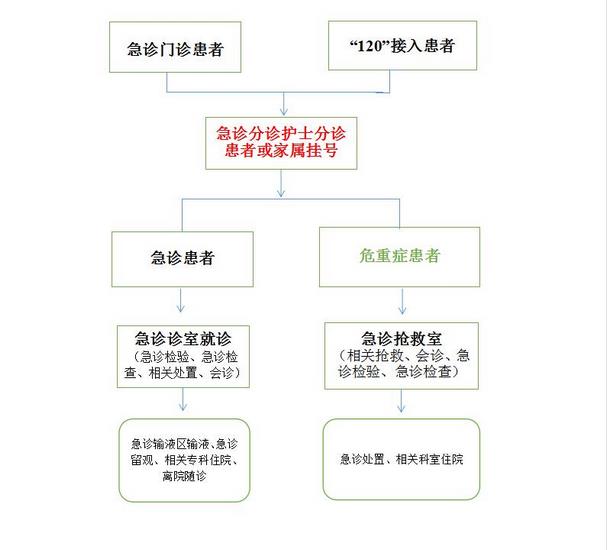 蕪湖新東方醫院 急診就診流程圖(圖1)