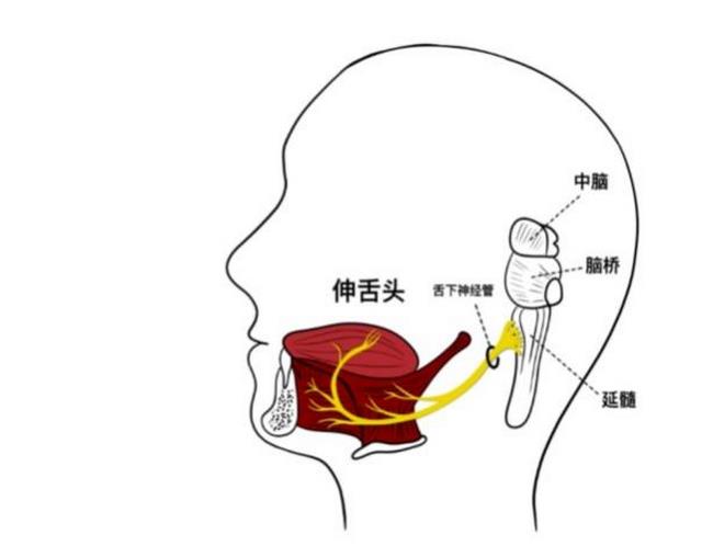 圖片3 (複制).jpg