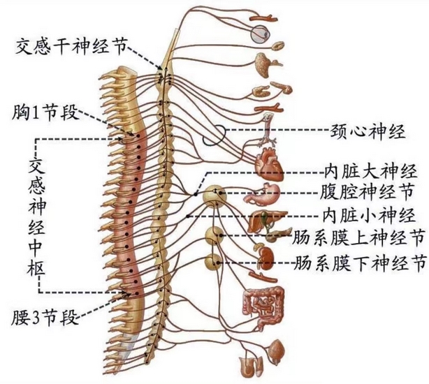 圖片1 (複制).jpg