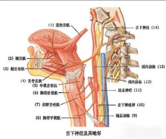 圖片4 (複制).jpg